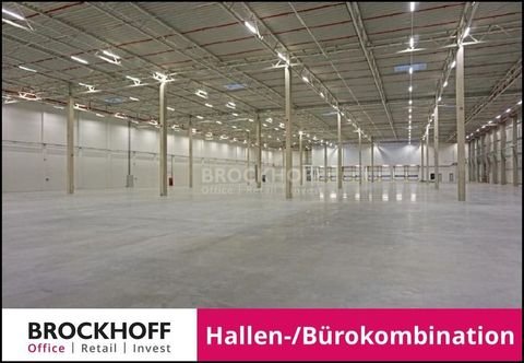 Essen Halle, Essen Hallenfläche