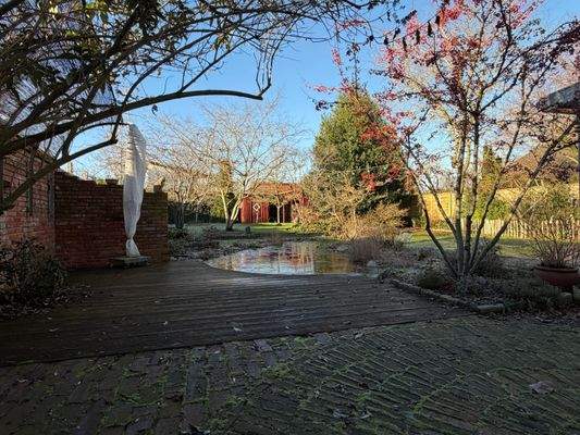 Blick in den großen Garten