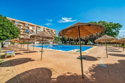 Benalmadena Wohnungen, Benalmadena Wohnung kaufen