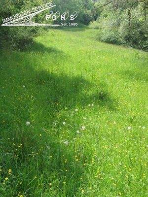 Unterböhr.Flur 1500-1=4.578 m² Foto 10 