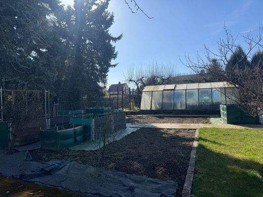 Alles beginnt im Beet