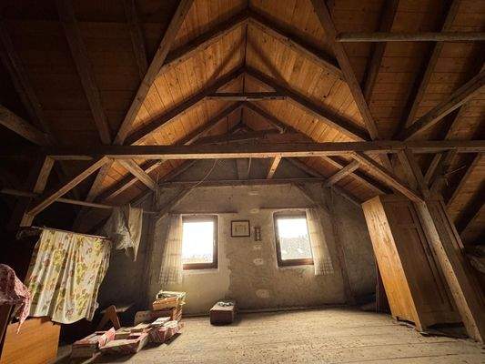 nicht ausgebautes DG Bild 1.JPG