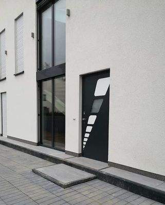 Colani-Eingangstür Fingerprint