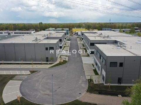 Norderstedt Halle, Norderstedt Hallenfläche