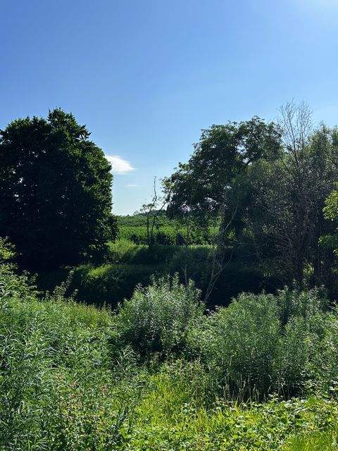 Meckenbeuren Grundstücke, Meckenbeuren Grundstück kaufen