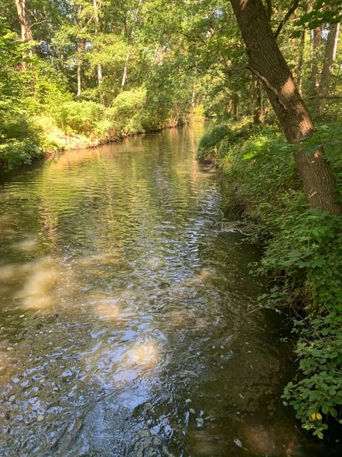 Brietlingen Grundstücke, Brietlingen Grundstück kaufen