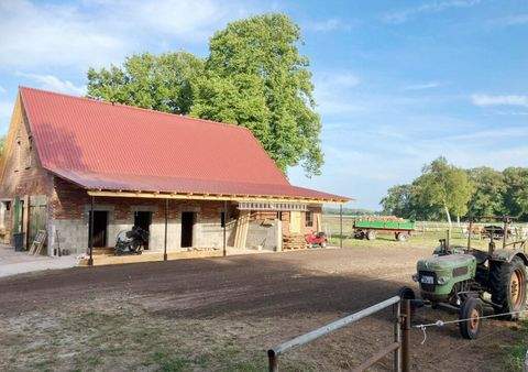 Großenkneten Bauernhöfe, Landwirtschaft, Großenkneten Forstwirtschaft