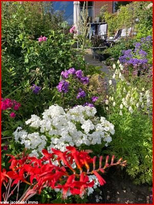 Sommerimpressionen