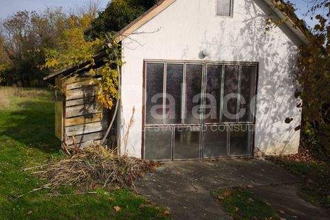 Belisce Häuser, Belisce Haus kaufen