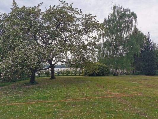 Blick  auf den See von Terrasse und Wohnzimmer