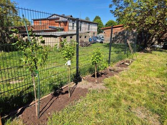 Vollständig eingezäuntes Grundstück 