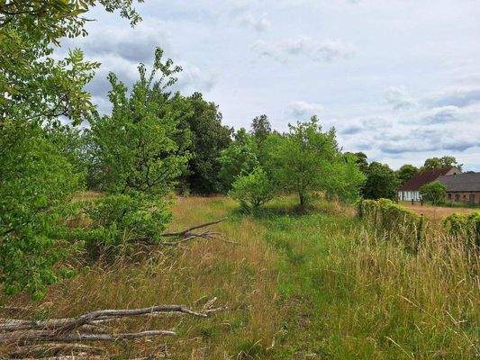 Ansicht Gartenbrache 1.jpg