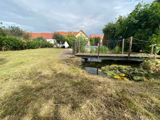 Garten/ Fischteich