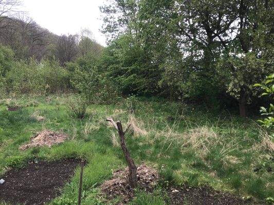 Blick ins Grundstück