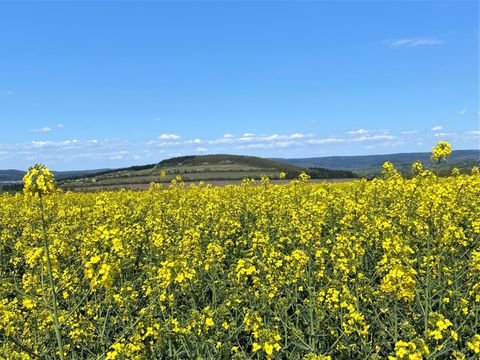 Neidenbach Grundstücke, Neidenbach Grundstück kaufen