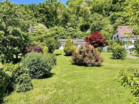 Grenzach-Wyhlen Häuser, Grenzach-Wyhlen Haus kaufen