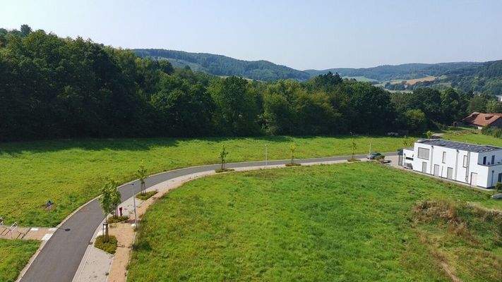 _app_sd_ATOM_001_DCIM_PTSC_0099