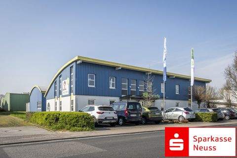 Korschenbroich Halle, Korschenbroich Hallenfläche