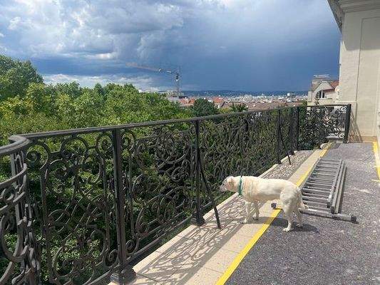Soweit das Auge reicht GRÜN - Draschepark, Johann Straussgasse, Bahnhof - Wien, Wien