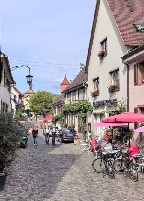 Vogtsburg im Kaiserstuhl Wohnungen, Vogtsburg im Kaiserstuhl Wohnung mieten