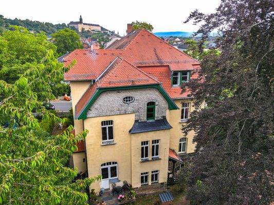 Blick aus dem Garten aufs Haus