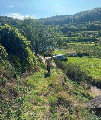 Weg zur Rebterrasse