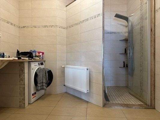 Duschbad - Einliegerwohnung im OG