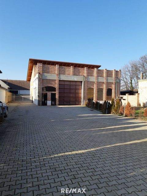 Gols Grundstücke, Gols Grundstück kaufen