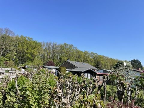 Warnemünde-Diedrichshagen Bauernhöfe, Landwirtschaft, Warnemünde-Diedrichshagen Forstwirtschaft