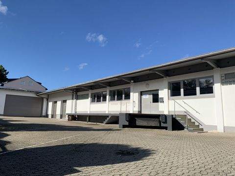 Hof Halle, Hof Hallenfläche