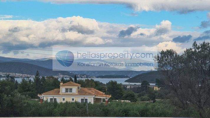 e8d78c3a47bb4e97ae136836a793092c-original