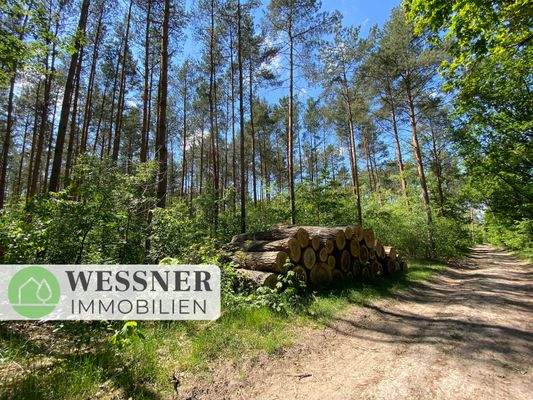 Titelbild 25, 148, 149 und 26 (4)