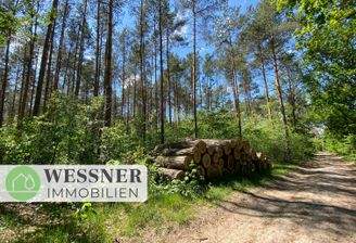 Titelbild 25, 148, 149 und 26 (4)