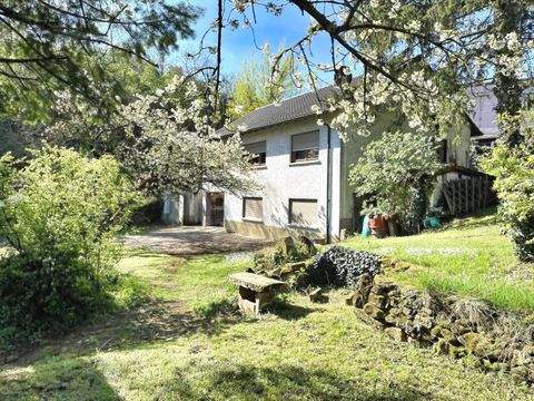 Neuleiningen Häuser, Neuleiningen Haus kaufen