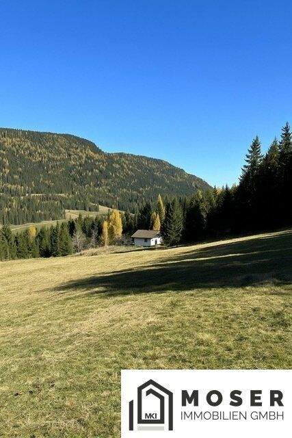 Murau Bauernhöfe, Landwirtschaft, Murau Forstwirtschaft
