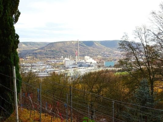 Blick ins Tal nach Winzerla.JPG