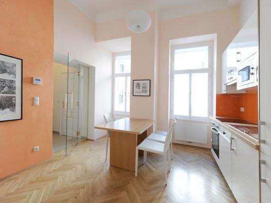 Wohnbereich mit Küche / living room with kitchen
