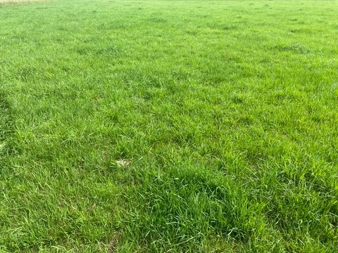 Landsberg am Lech Grundstücke, Landsberg am Lech Grundstück kaufen