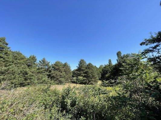 Blick von der Terrasse