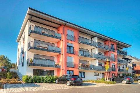 Altenkirchen Wohnungen, Altenkirchen Wohnung mieten