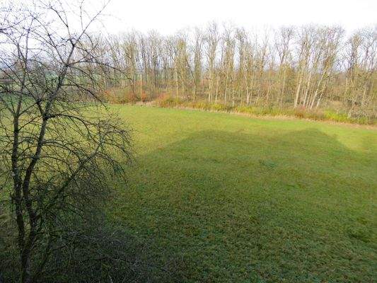 Blick vom Balkon auf Wiese und Wald 