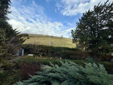 Stuttgart / Untertürkheim Wohnungen, Stuttgart / Untertürkheim Wohnung kaufen