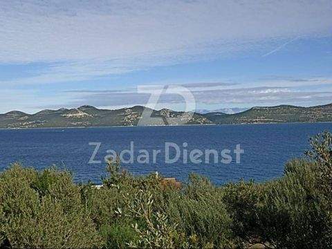 Iz - Rava Bauernhöfe, Landwirtschaft, Iz - Rava Forstwirtschaft