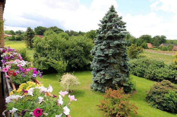 Aussicht vom Balkon