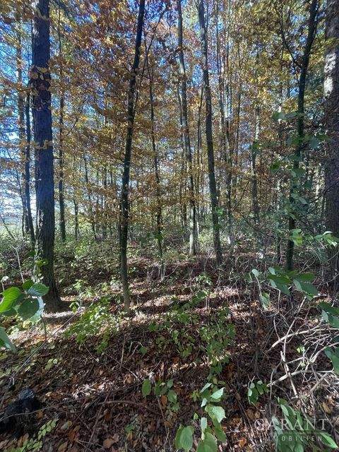 Scheyern Bauernhöfe, Landwirtschaft, Scheyern Forstwirtschaft