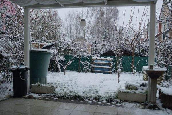 -Garten DSC00963 Kopie.JPG