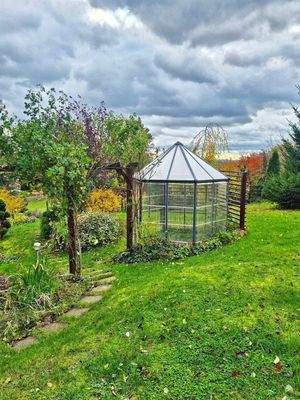 Garten hinter dem Haus.jpg