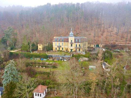 Drohne, Vorderansicht