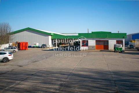 Belgershain / Köhra Halle, Belgershain / Köhra Hallenfläche