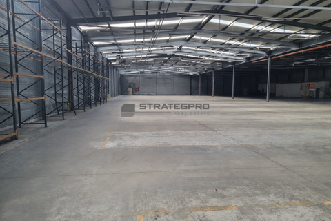 Bobenheim-Roxheim Halle, Bobenheim-Roxheim Hallenfläche